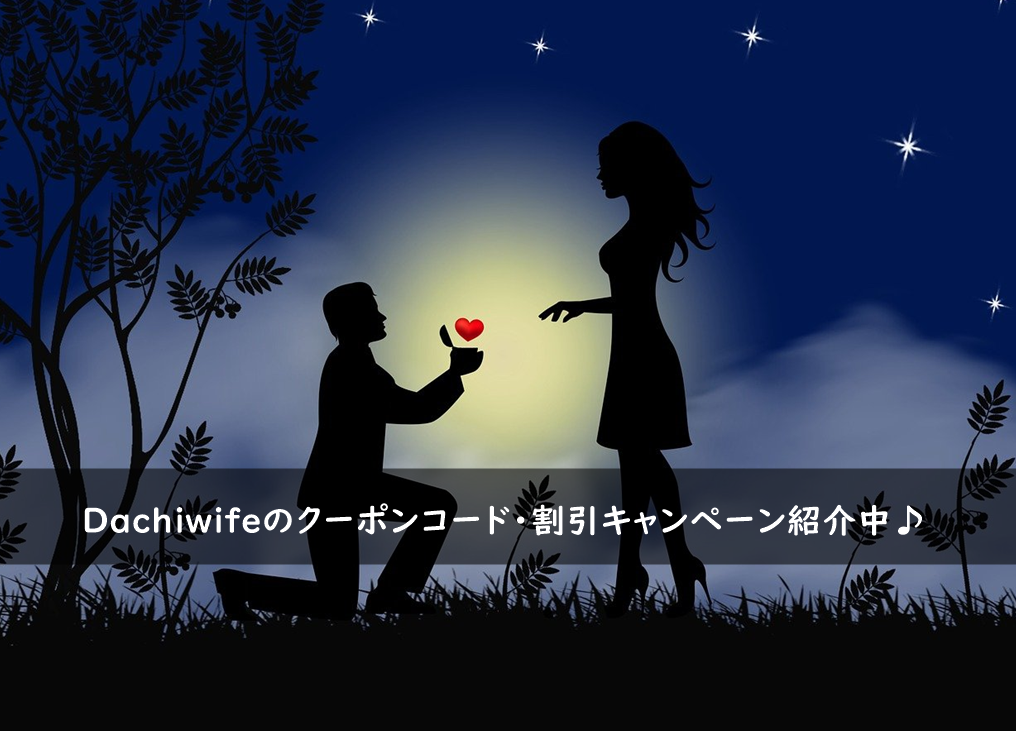 Dachiwife(ダッチワイフ)のクーポンコード・割引キャンペーンまとめ